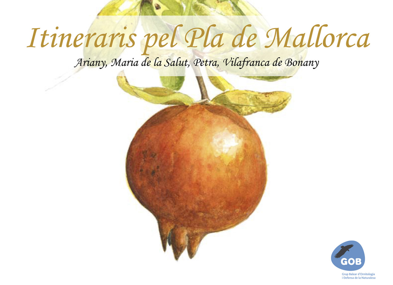Itineraris pel Pla de Mallorca