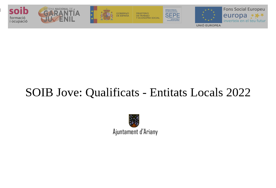 SOIB Jove: Qualificats - Entitats Locals 2022
