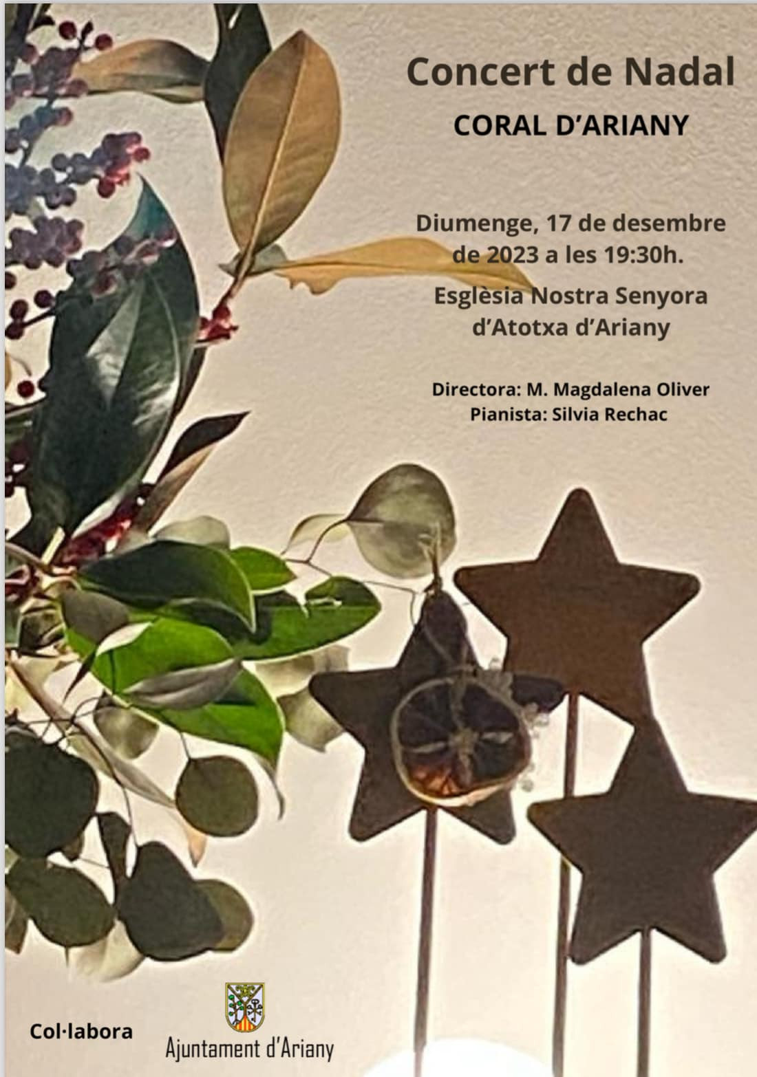 Concert de Nadal