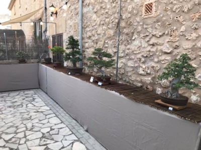 Inauguració del projecte de Capses de Vida