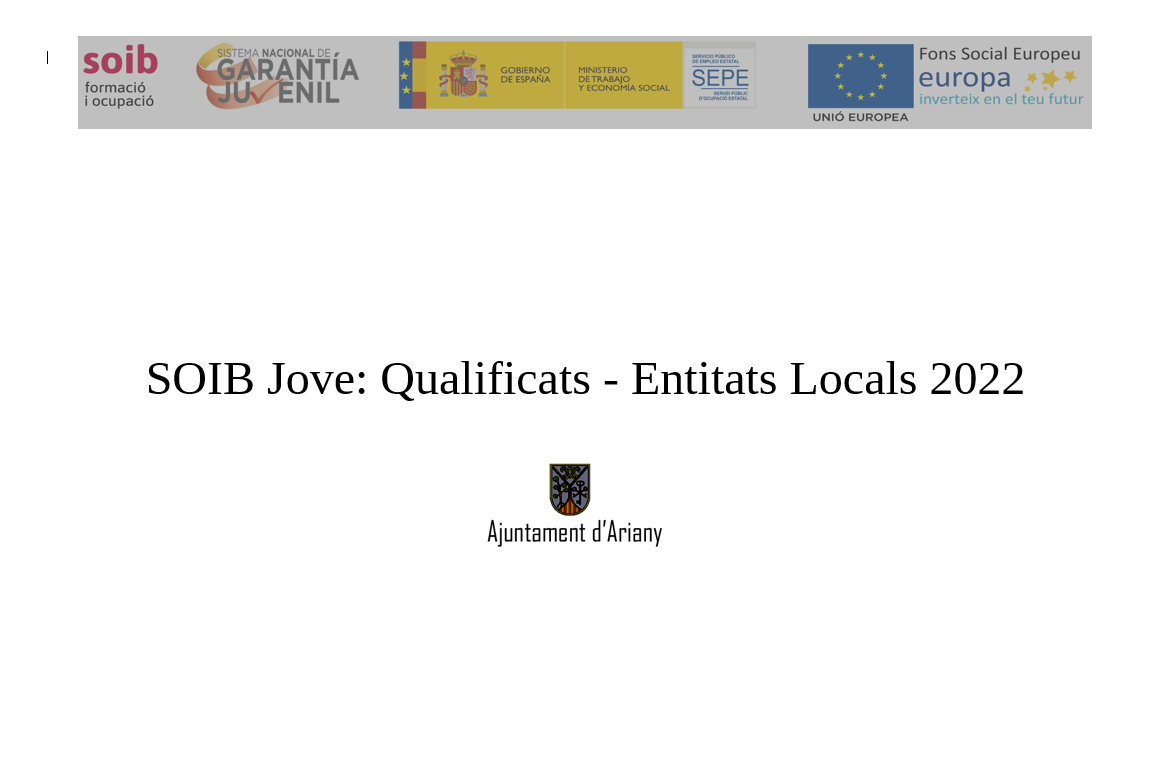 SOIB Jove: Qualificats - Entitats Locals 2022